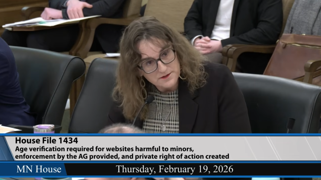 State Rep. Leigh Finke, a two-term Democrat who identifies as a woman, pushed back against a proposal that would require age checks on porn websites during a meeting on Feb. 19, 2026.